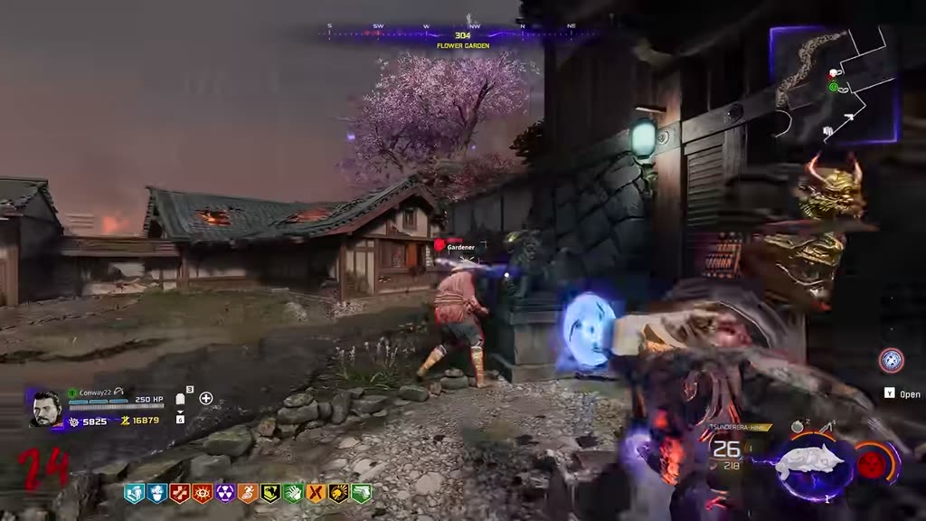 Fighting the elite gardener zombie