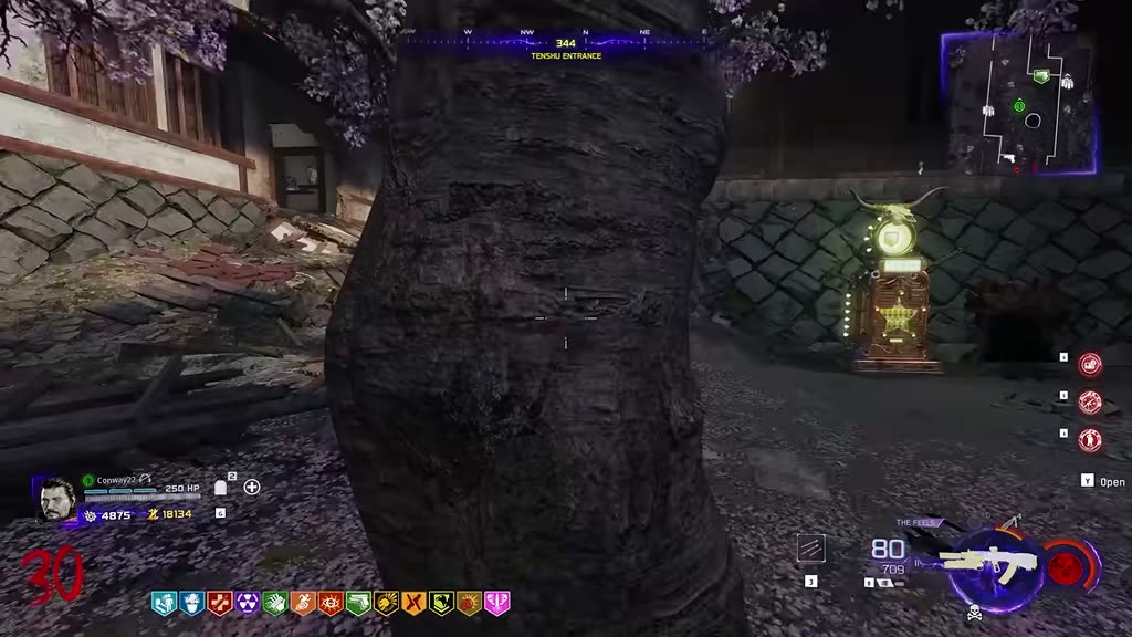 Cherry tree up in the castle